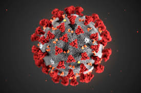koronavírus kép